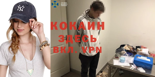 МДПВ Нея