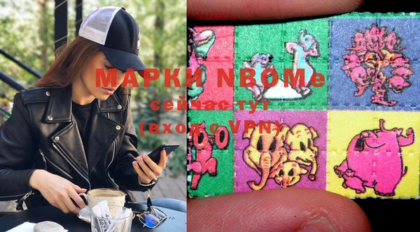 МДПВ Нея