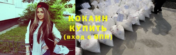 МДПВ Нея
