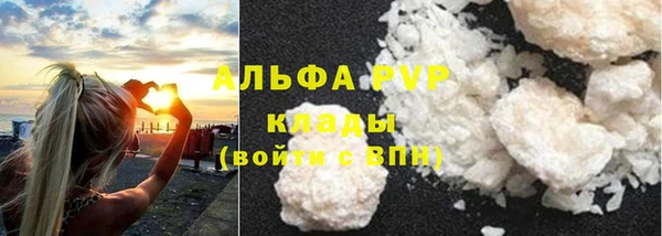 МДПВ Нея